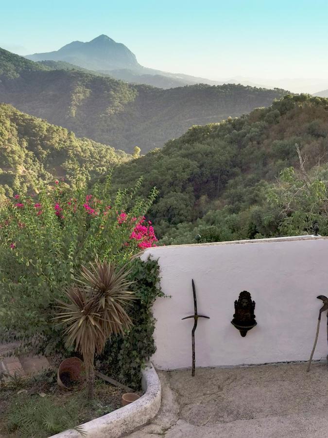 Naturaleza Y Arte En La Casa Del Molino 헤날과실 외부 사진